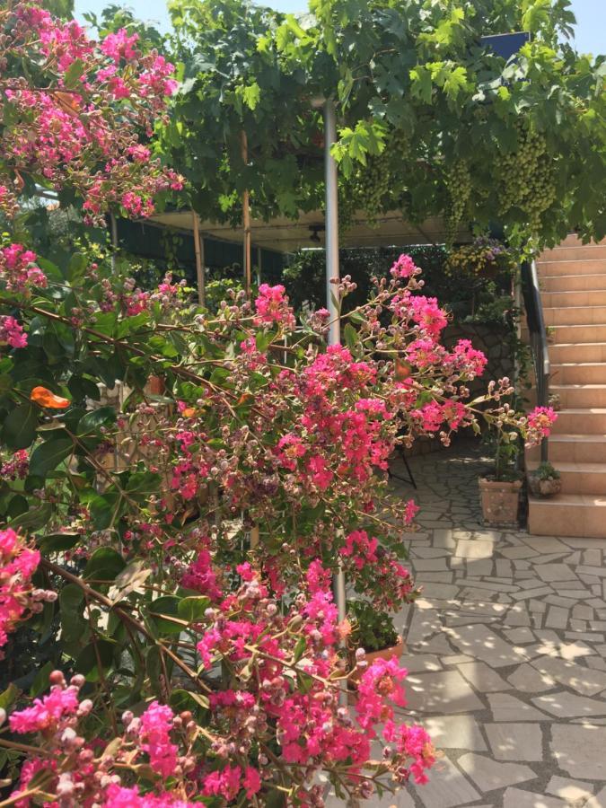 Apartmani Anica ริซิกา ภายนอก รูปภาพ