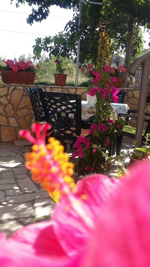 Apartmani Anica ริซิกา ภายนอก รูปภาพ